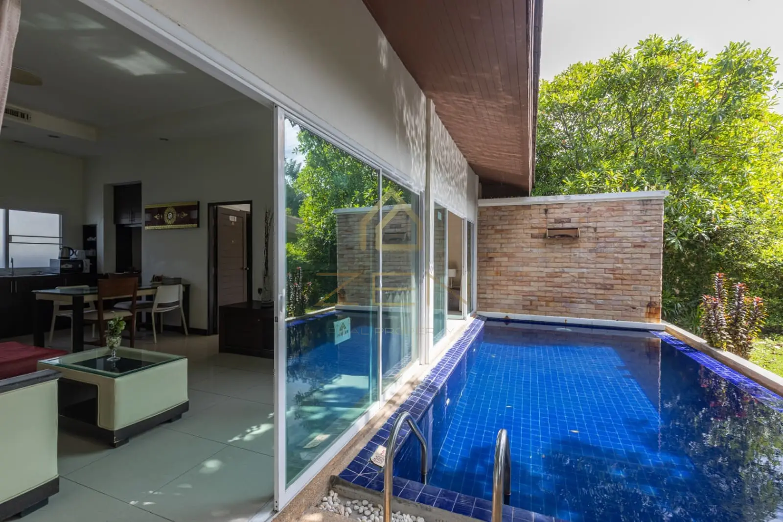 WhatsApp Image 2025-12-29 at 11.52.59 (1)