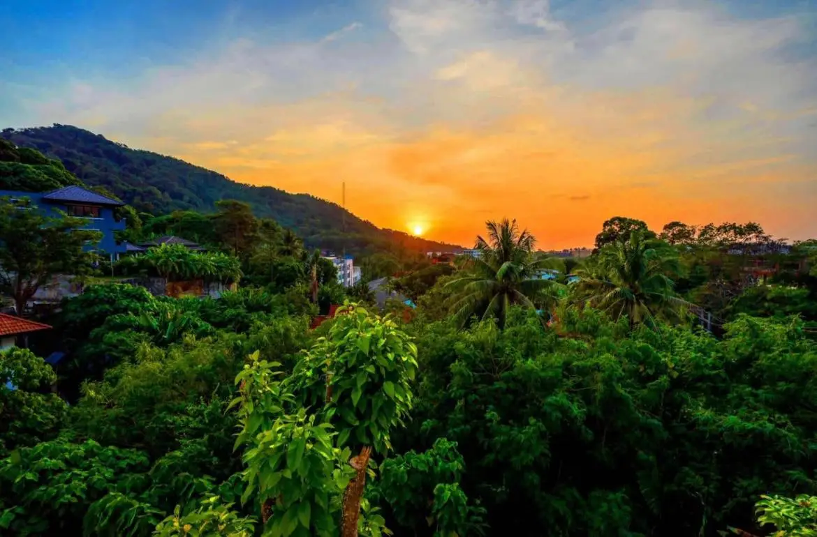 photo_1_2024-10-26_18-59-41