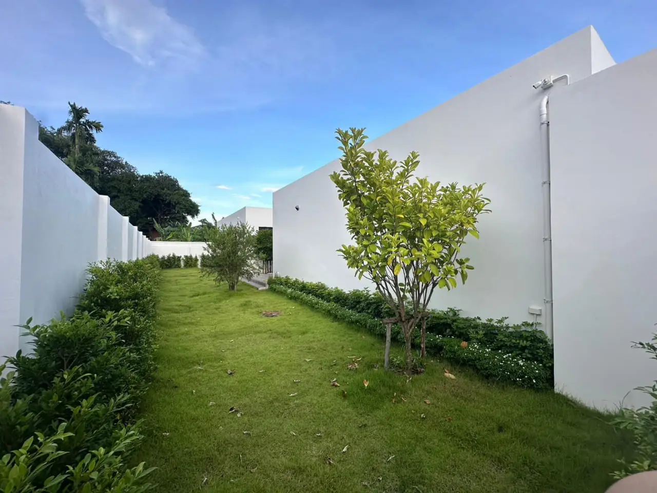 photo_5_2024-10-19_18-16-01