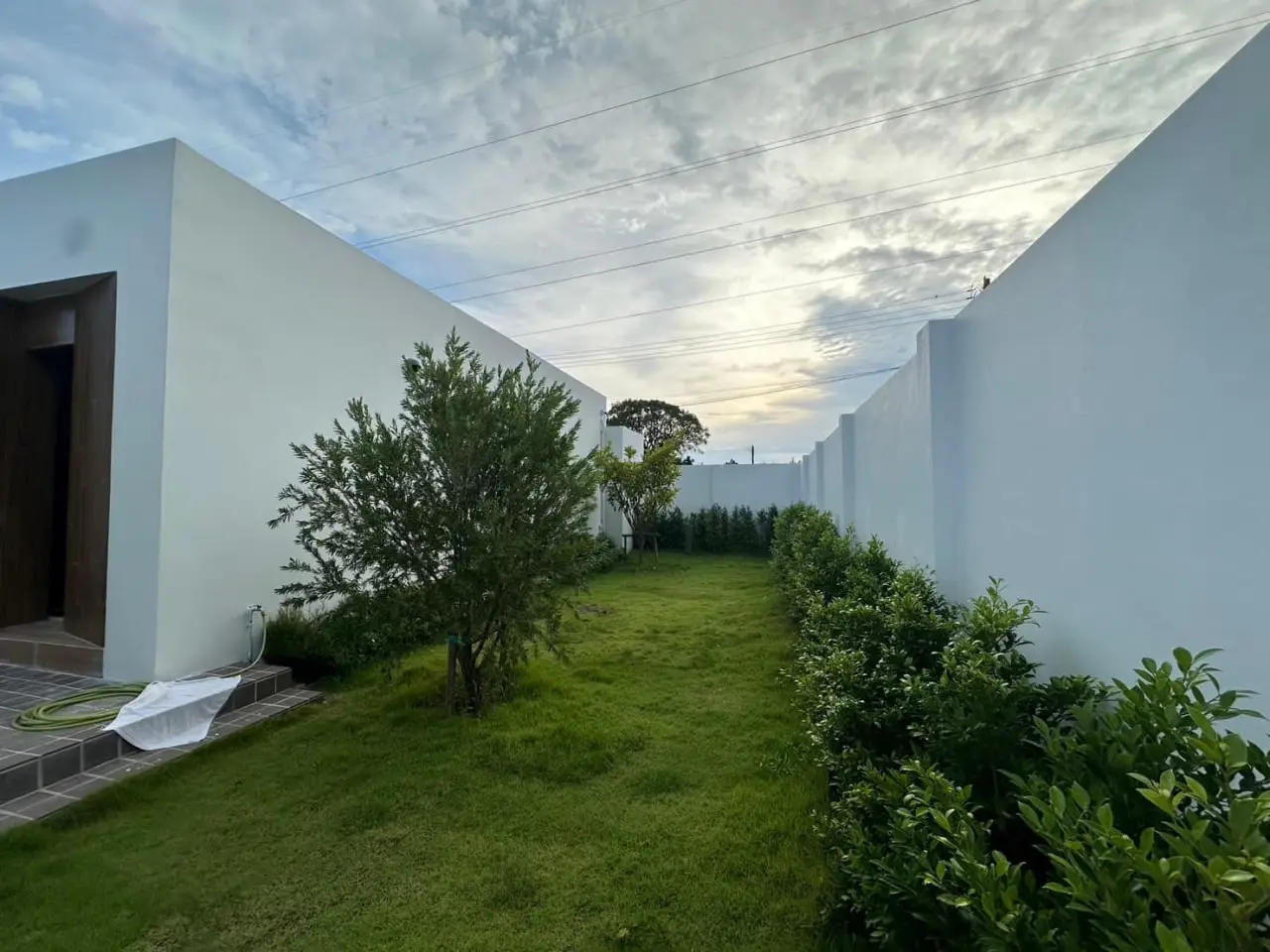 photo_8_2024-10-19_18-16-01