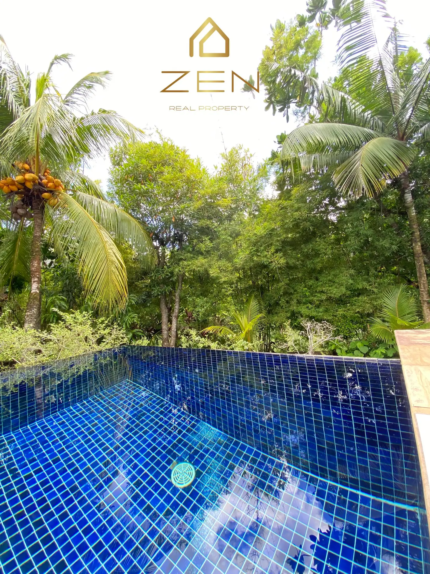 368272309_146859781797473_386034398877005358_n