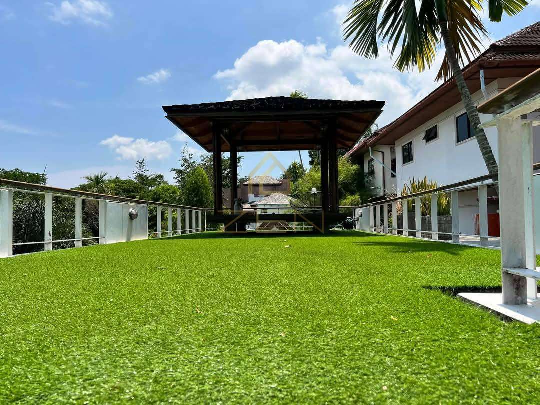 491830982_1258063532986216_7846194258499675149_n