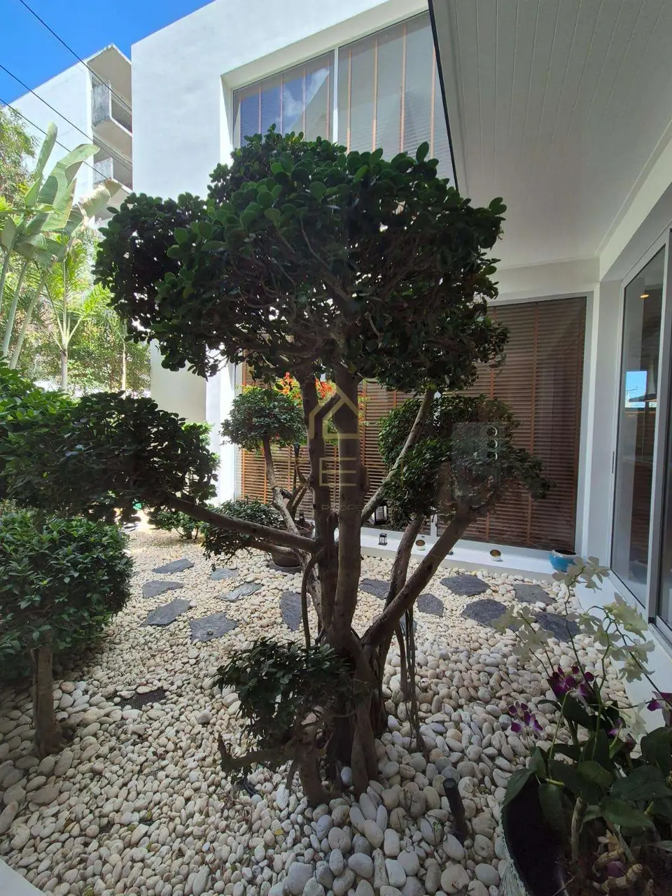 WhatsApp Image 2568-05-15 at 11.31.17 (1)