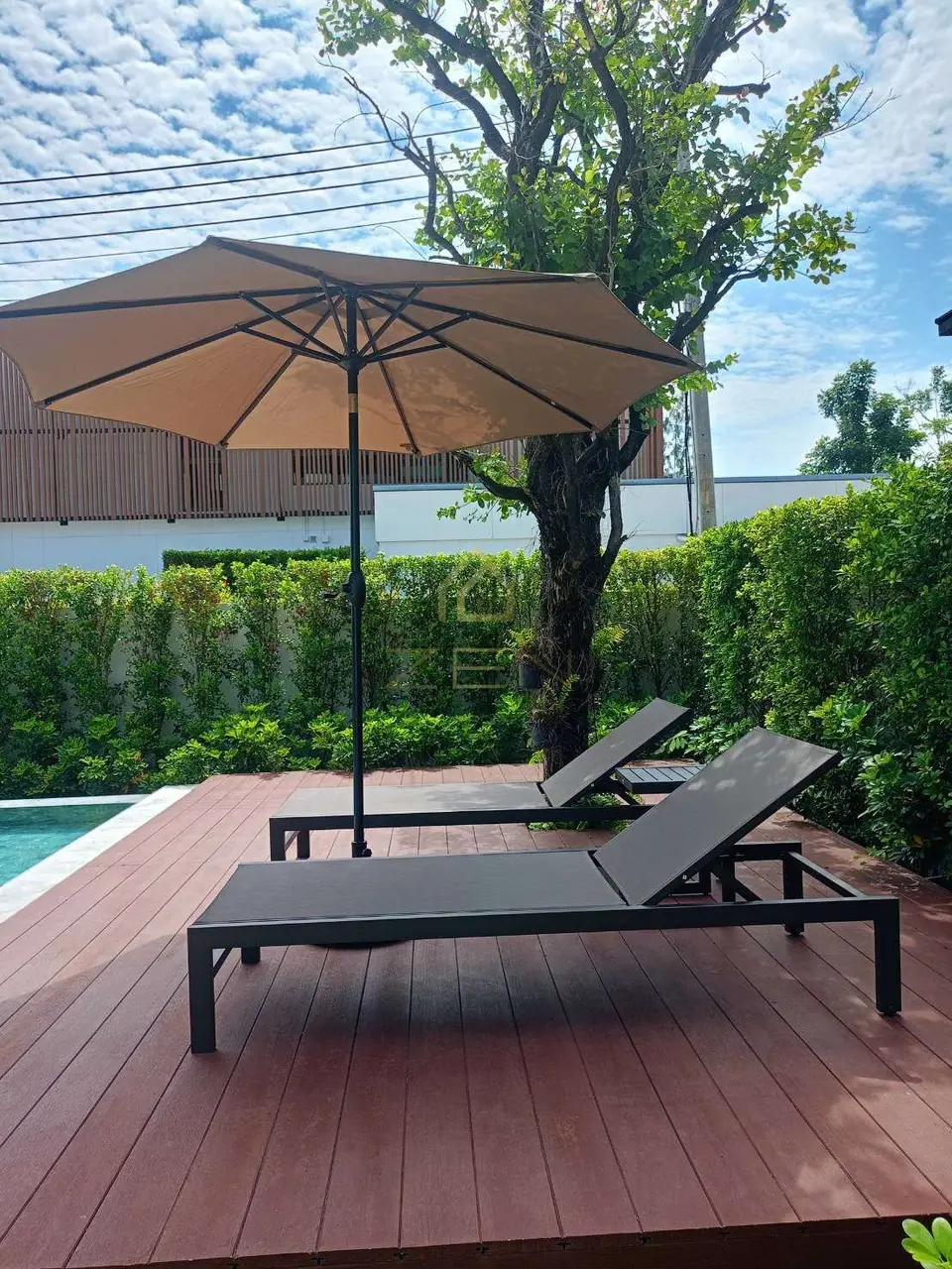 WhatsApp Image 2568-06-11 at 11.36.43