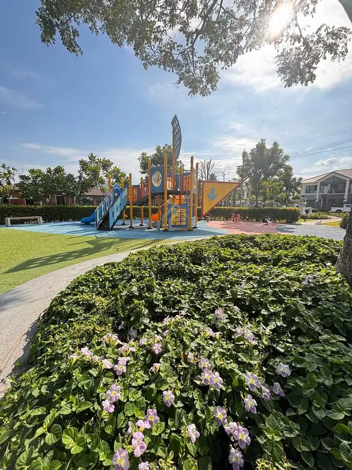 480618249_122208504062232673_1882688989891354044_n (1)