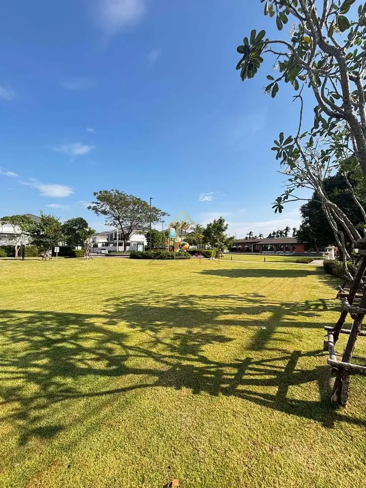 480736427_122208504044232673_674725728300256949_n