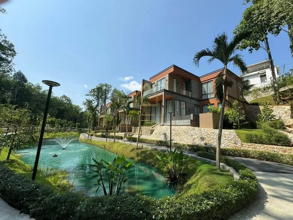 532103218_4167692573547166_5191628353602199331_n