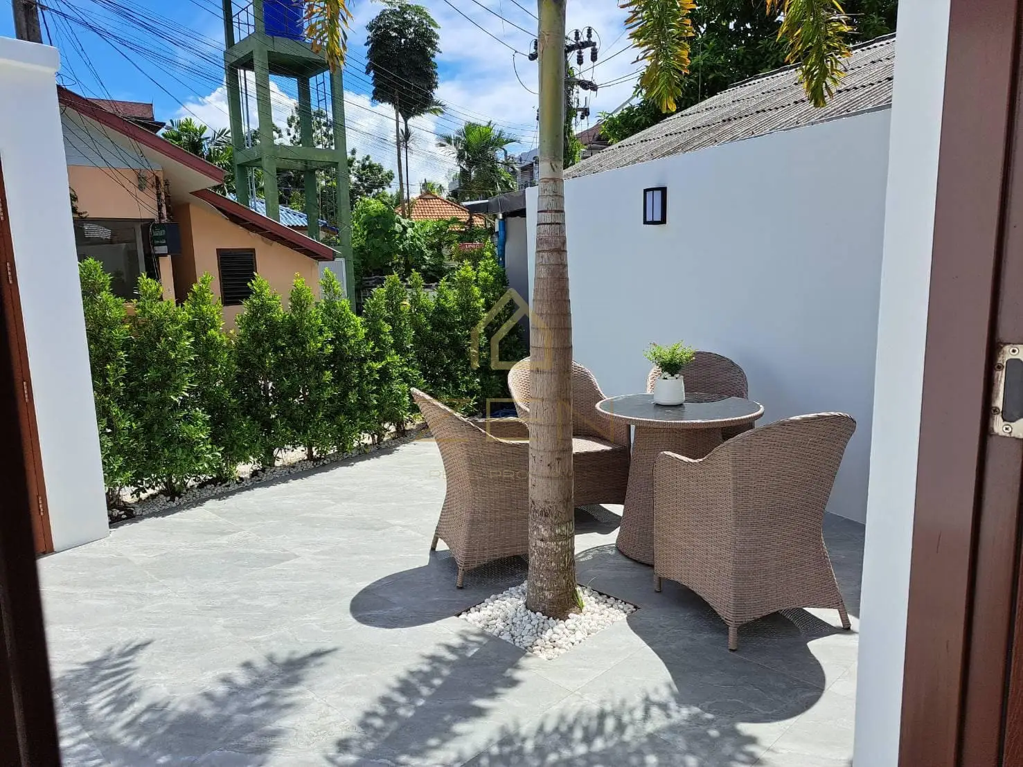 WhatsApp Image 2025-09-08 at 08.13.31