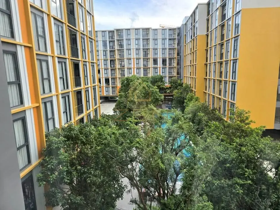 561053897_24732889143006826_4341399355292546179_n