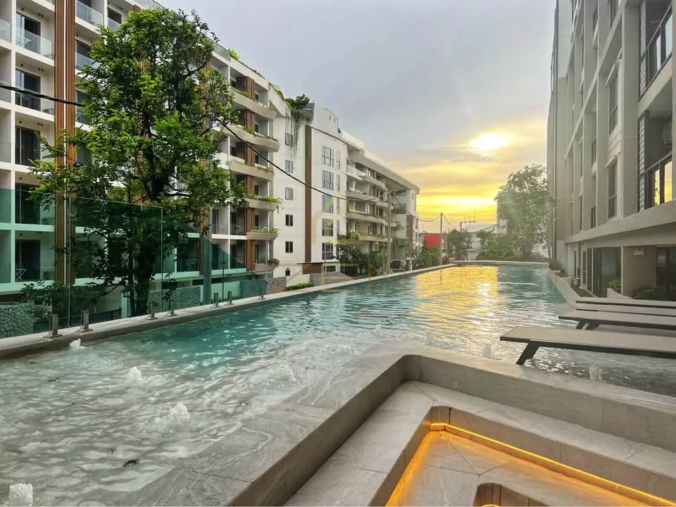 565703638_2344929135965884_9110699686772670134_n