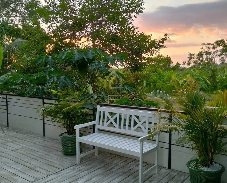 490596476_908816764603172_7180188382184981532_n