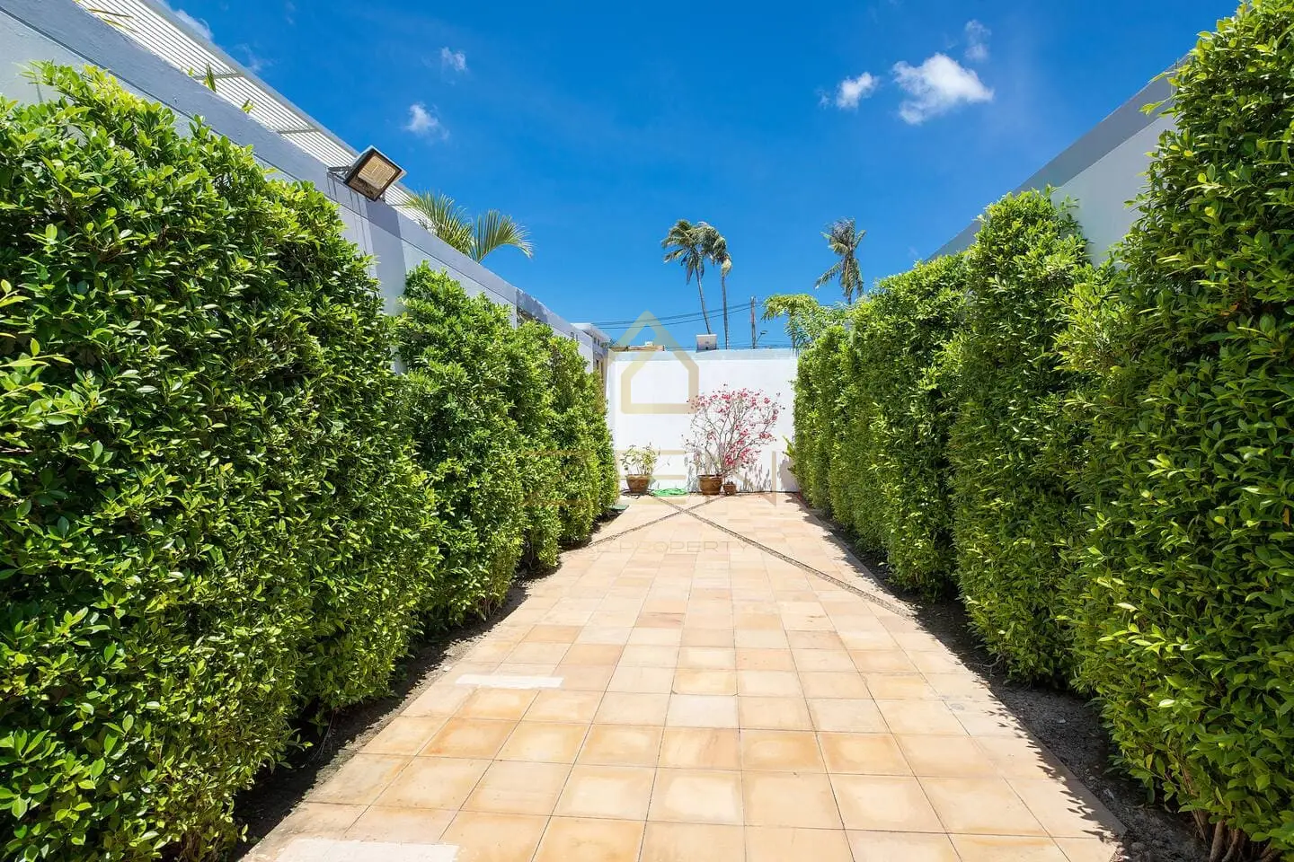 ca0590af-8aaa-4927-97c2-2ee6fc9666c7