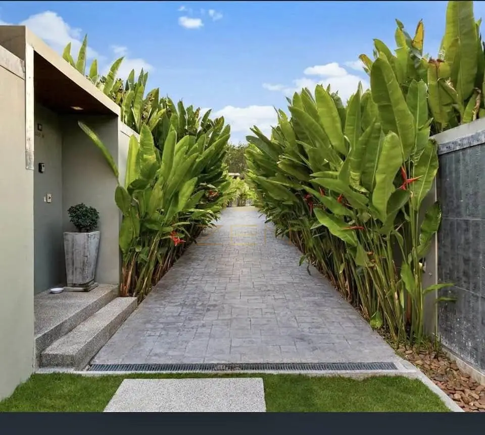 587819072_1529206945079860_2782729113010411682_n