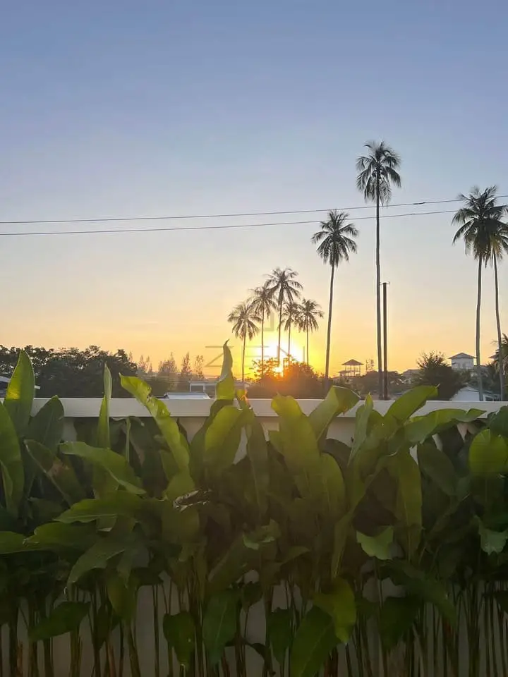 593588476_10241035082753141_42530472981643505_n