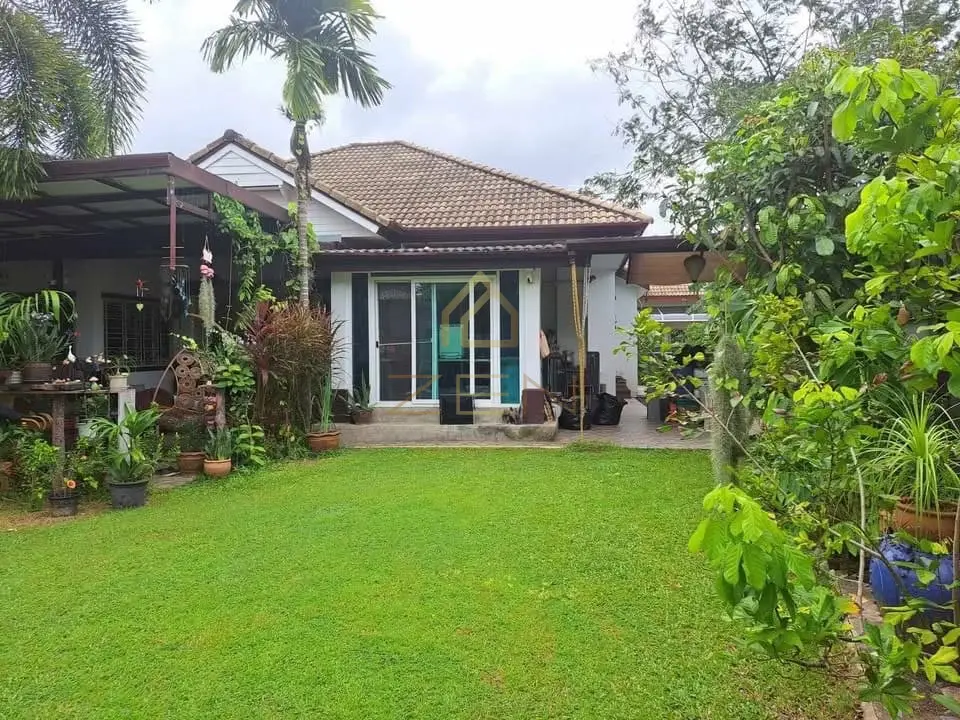 595433679_4230435510546976_8266182902630701253_n