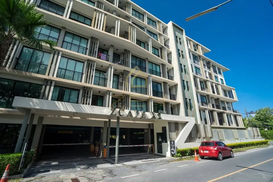 597383718_10163404535462726_7362963609070047443_n