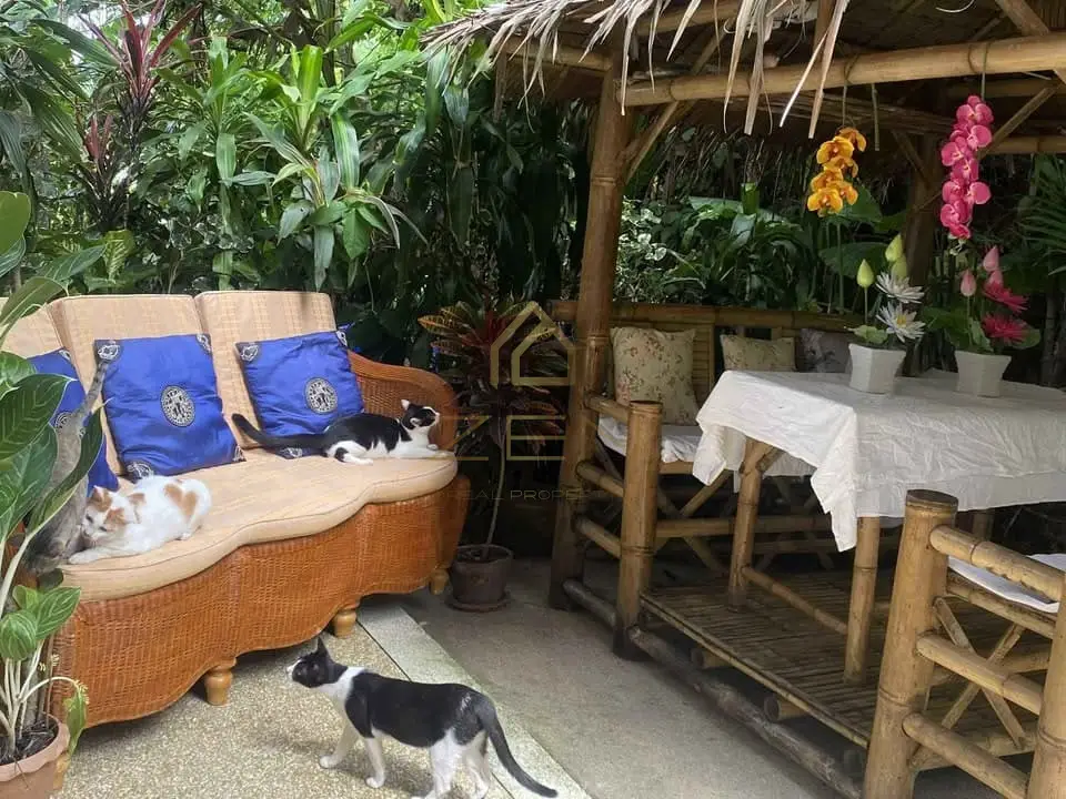 599453909_122188373984429076_3519019180621044235_n