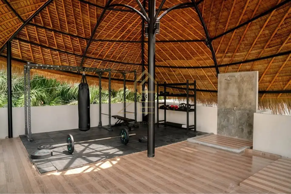 604682777_3003068353216908_5423446999036069144_n