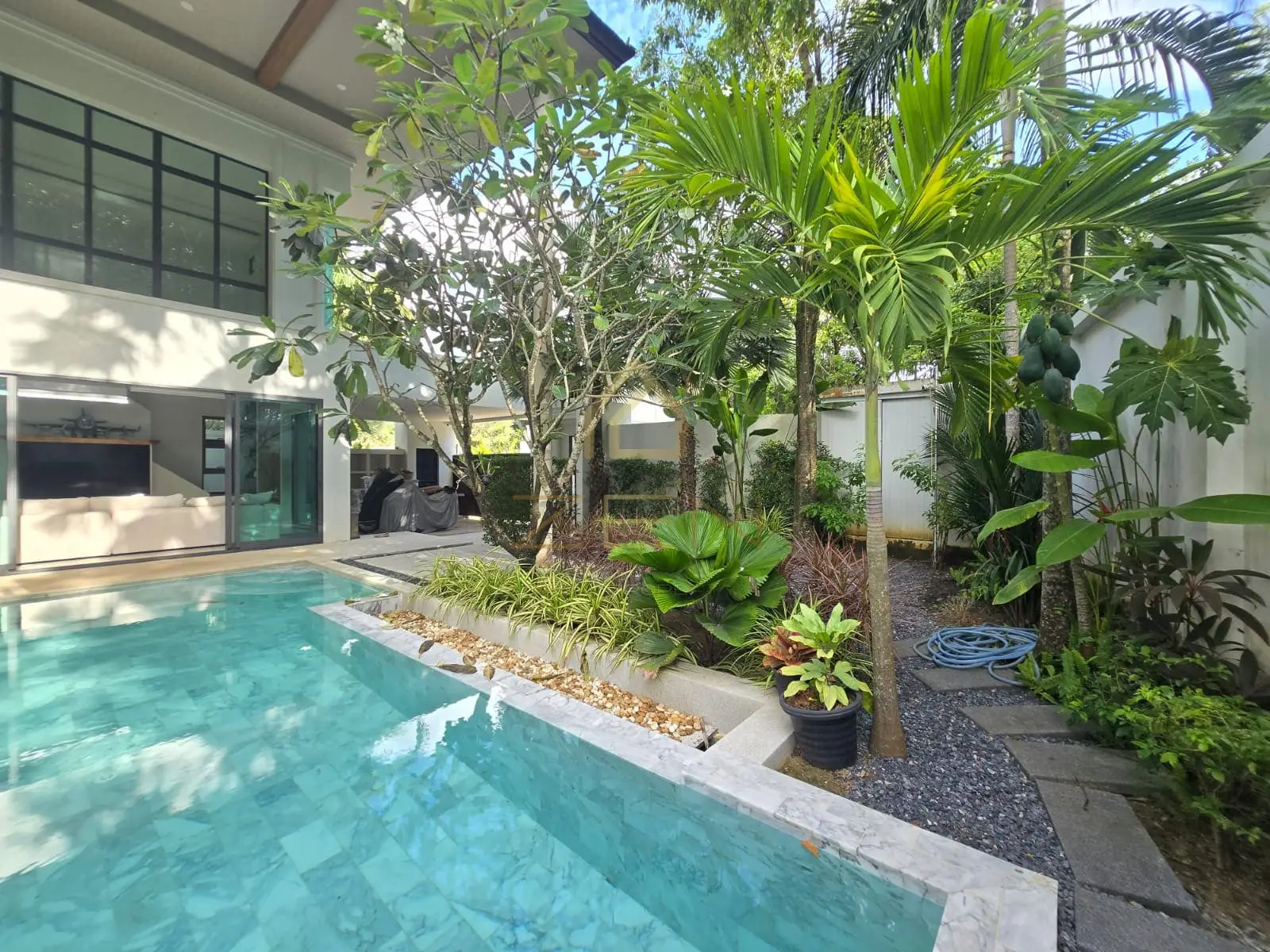 WhatsApp Image 2025-12-29 at 17.50.13 (1)