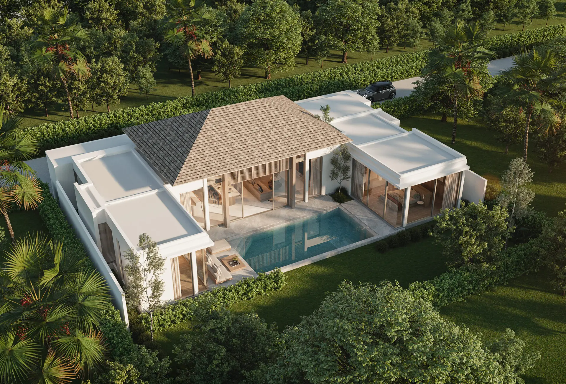 2.0Top View - Monstera