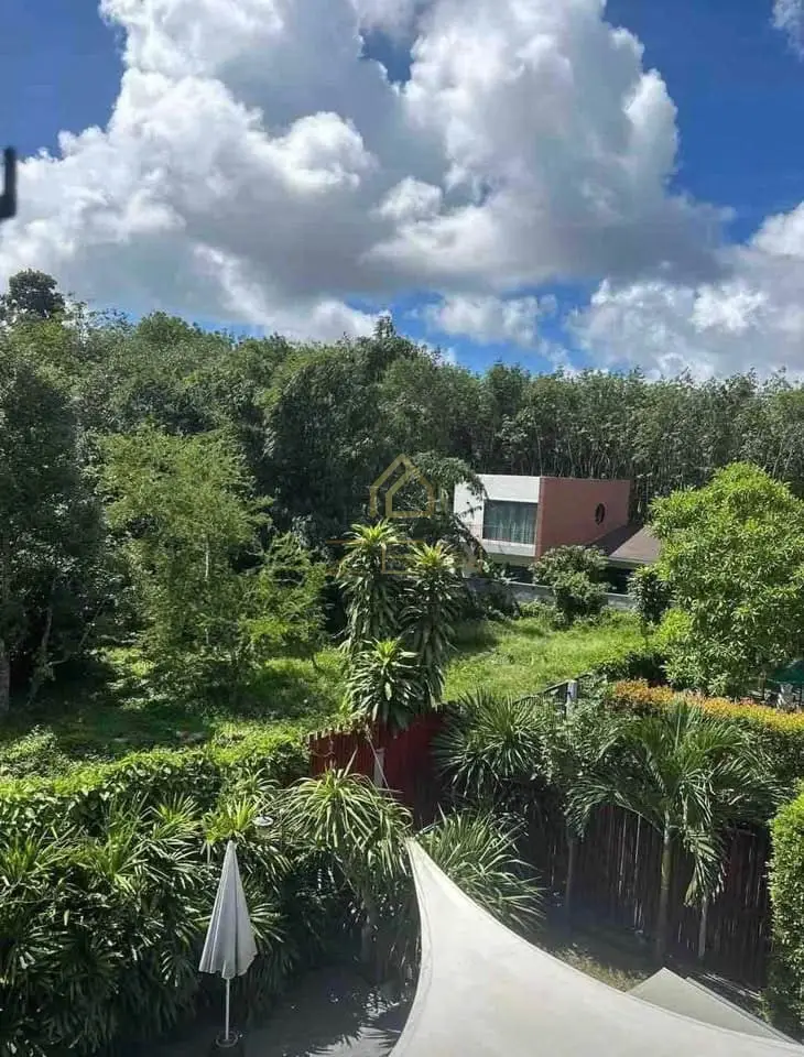 611123259_1918645485737231_1329323176094377013_n