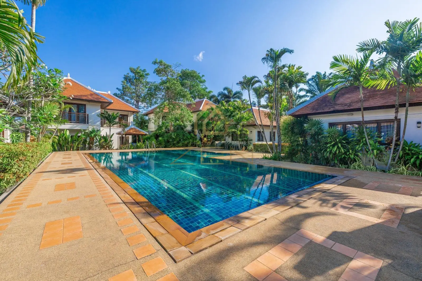 WhatsApp Image 2026-01-09 at 13.36.22 (1)