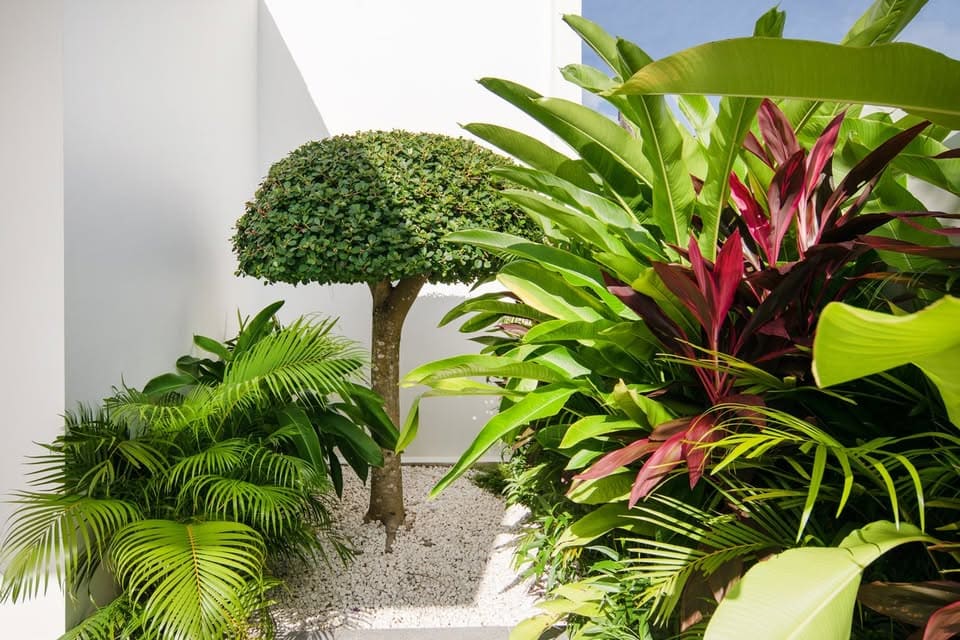 665897881_4396301904032262_5908710565641762626_n