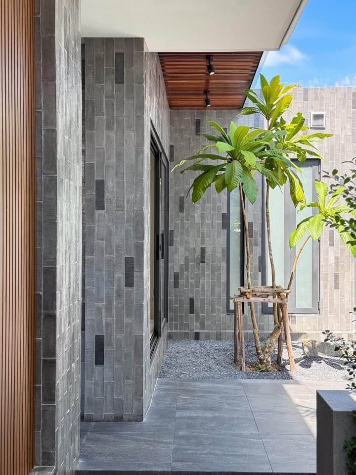 667581019_27555310994068819_5949525144703506455_n