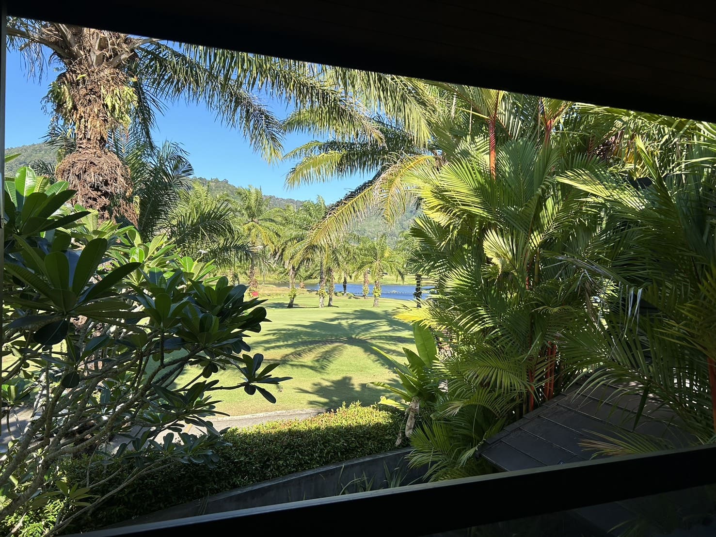 WhatsApp Image 2026-04-01 at 11.52.59