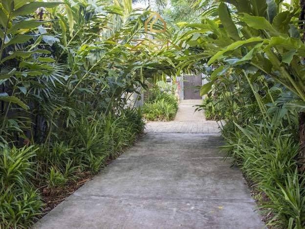 Private 3 Bedroom Villa in Rawai for Rent, Rawai, Phuket