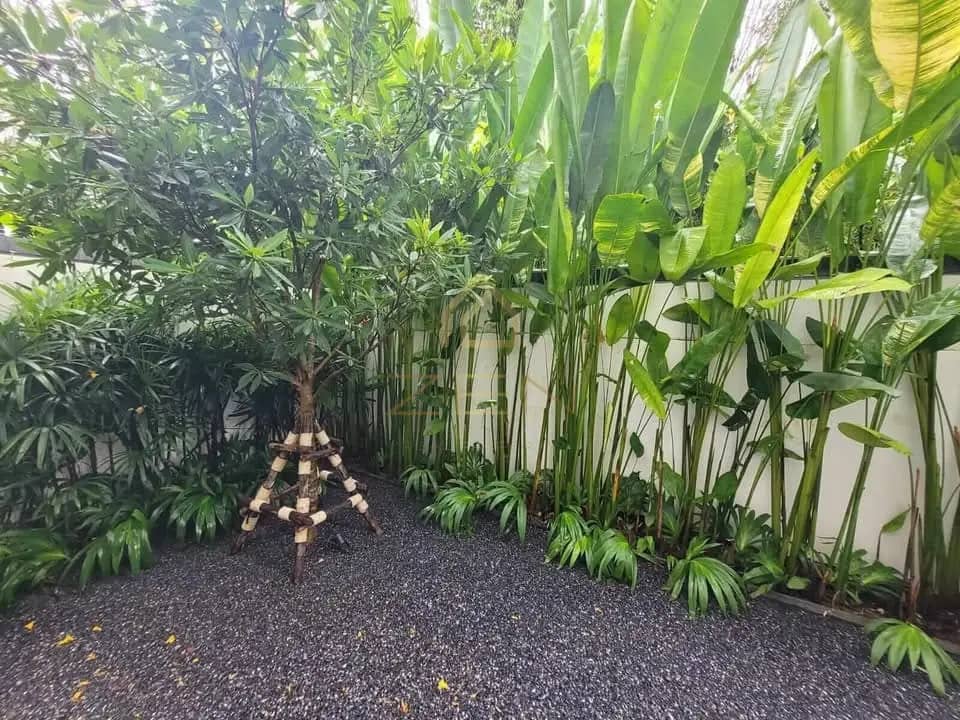 Modern 2-Bedroom Pool Villa in Bang Tao for Long-Term Rental, Bang Tao, Phuket